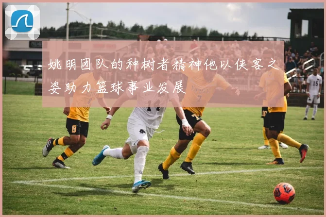 姚明团队的种树者精神他以侠客之姿助力篮球事业发展