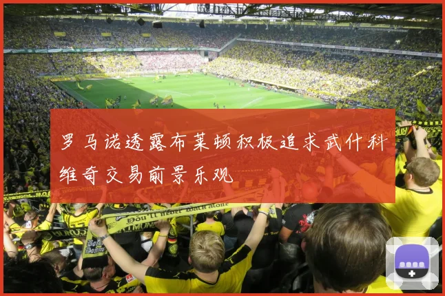 罗马诺透露布莱顿积极追求武什科维奇交易前景乐观